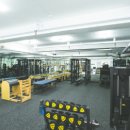 필라트니스 이미지