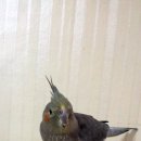 약수터주유소 이미지