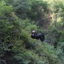 문경짚라인 이미지