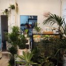 강동-길동-66 이미지