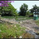 함안면사무소 이미지