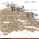 로맹가리, ＜새들은 페루에 가서 죽다＞, 문학동네, 2007. 이미지