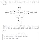 2023학년도 2번 (MDEET 자1 혈중젖산농도) 이미지