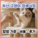 다정축산 - 안양시 만안구 안양로 451 | 부산 고양이 장례식장 꼭 확인하고 가세요. 반려묘 장례 주의사항부터 비용, 후기 완벽 정리.