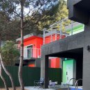 위드펫 빌리지 이미지