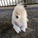 피아노 호프 | 영화 <호프> 솔직 후기🛸대구 경산 씨네큐 관람 후기🍿(스포없음,결말X)