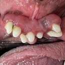 강남예치과동물병원 이미지