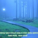 설레임 피아노 이미지