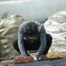 남전농장 이미지