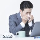 양이비인후과 네이버블로그