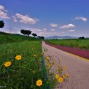 만경강길 5코스 이미지