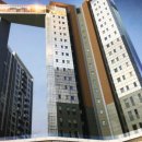 포레스트541 이미지