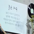 청령포 글감-왕과 사는 남자. 탄광촌 이야기 이미지