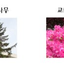 혜화학교(특수) 이미지