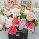 에이스유치원 이미지