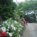 우향펜션 이미지