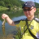 치아사랑 이미지