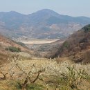 상봉농장 티스토리