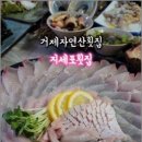 거제자연산회 이미지