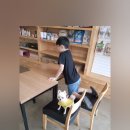 몽블리 애견카페 이미지