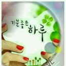 해피데이 이미지