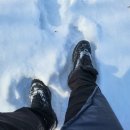 형아농장 이미지