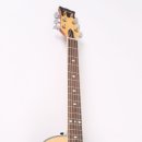 내추럴사운드 B 이미지