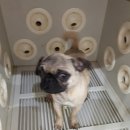 야음테니스장 이미지