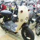 셀스타트 이미지