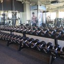 휘트니스 베이직 이미지