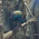 호빈조류새농장 이미지