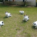 신일햇빛어린이집 이미지