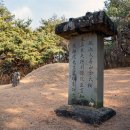 선산고을 이미지