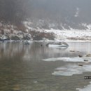 조양강 민박 이미지