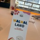 행복한 강아지 | [부산 연제구] 왈왈랜드 | 강아지와 행복한 하루, 애견카페 추천 왈왈랜드 방문 후기