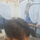 리즈파마 이미지