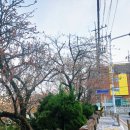 자혜로 17번길 이미지