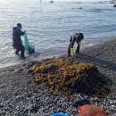 주전몽돌해변1(행정봉사실) 이미지