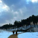 매형목장 이미지