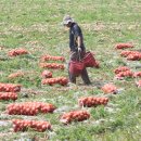 요셉농장 이미지