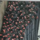 푸른들판로 이미지