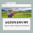 마스터행정사사무소 이미지