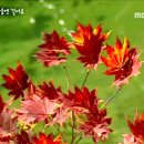 (주) 서울경제티브이
