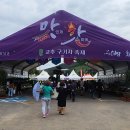 2025 청양 고추 구기자 축제(제26회) 이미지