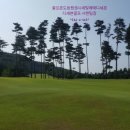 (주)대명토건 - 17581 | 경칩에 알아보는 솔모로cc 골프회원권 매매후기및이용안내