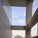 무마취 고양이 미용실 반할고양 이미지