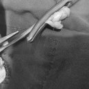 다빈치동물병원 이미지