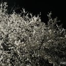 청당산업길 네이버블로그