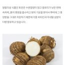 토란 효능,토란대 삶는 법 이미지