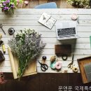 도움국제특허법률사무소